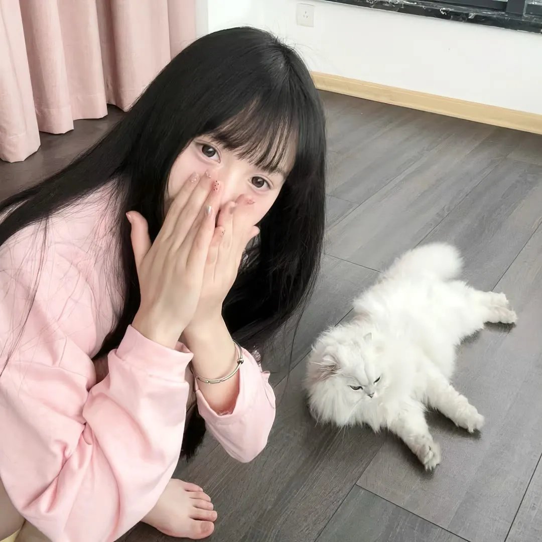 旗袍美探